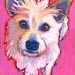 cairn terrier on pink painting