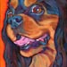 black and tan cavailier spaniel dog painting