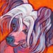 chinese crested dog painting