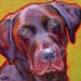 chocolate lab on green painting