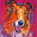 rough collie dog painting
