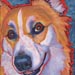 welsh corgi dog painting