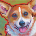 smiling corgi dog painting