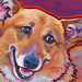pembroke corgi dog painting