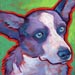 welsh corgi dog painting