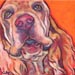 english setter on orange dog painting