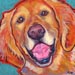 golden retriever dog painting