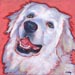 great pyrenees on pink