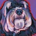 havanese dog painting