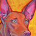 pharaoh hound painting