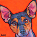 rat terrier dog painting
